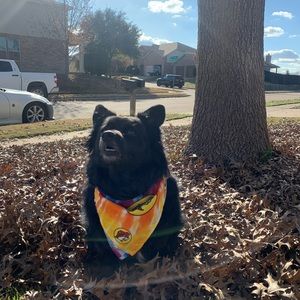 Meet your Posher, Connor